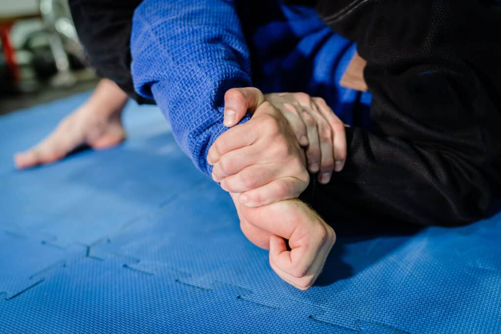Are BJJ instructionals worth it?
