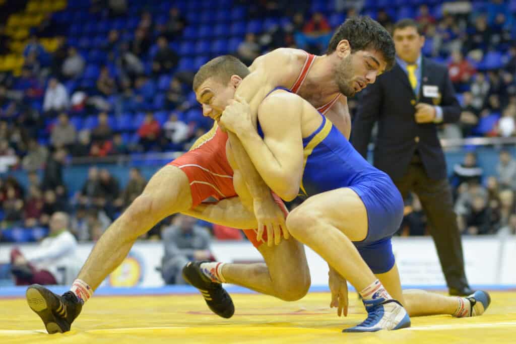 What are the weight classes in freestyle wrestling?