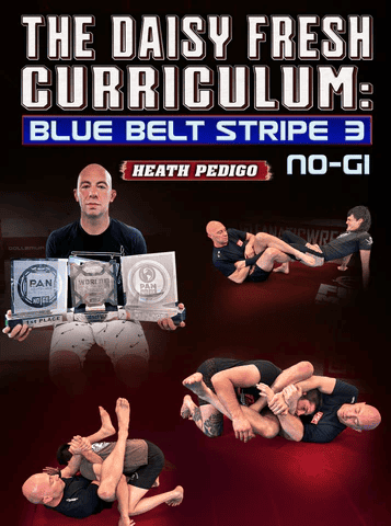 Best Heath Pedigo instructional for Blue belts 